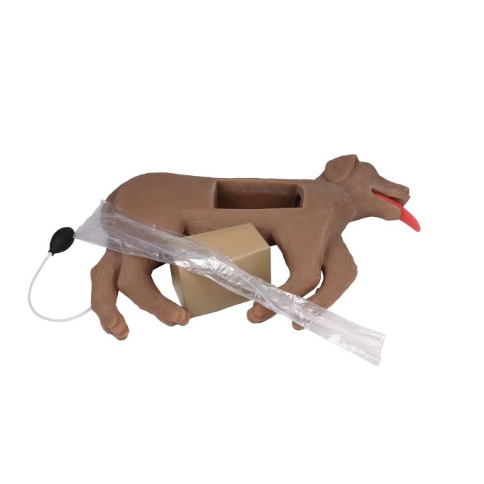 Reanimatiepop voor honden 'CooPeR' - afbeelding 6