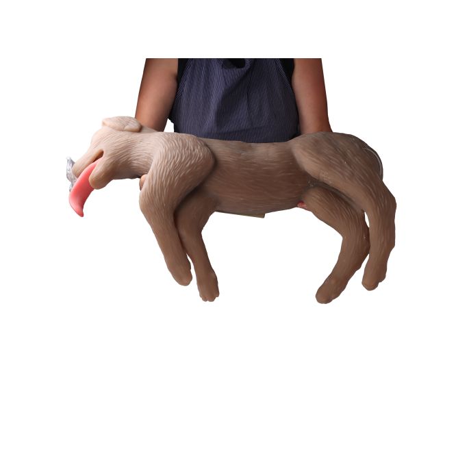 Reanimatiepop voor honden 'CooPeR' - afbeelding 9