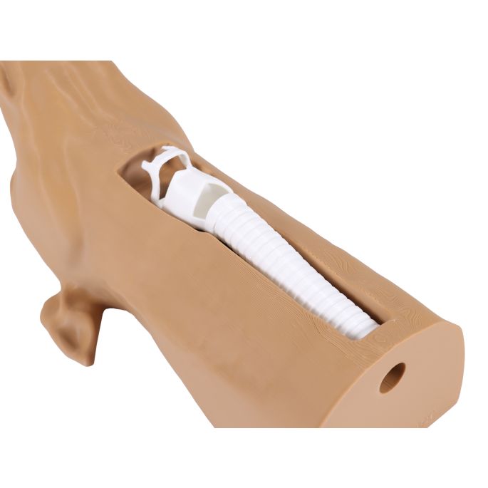 K9 cricothyrotomie-simulator voor de hond