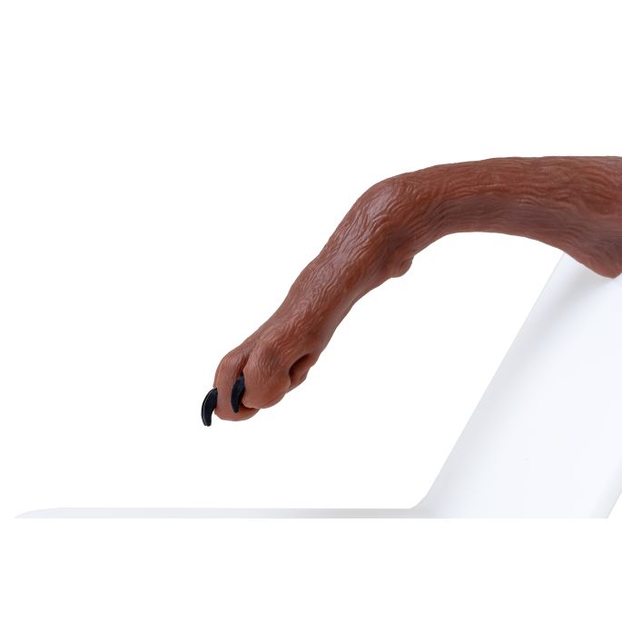 Oefenpoot voor nagels knippen bij de hond