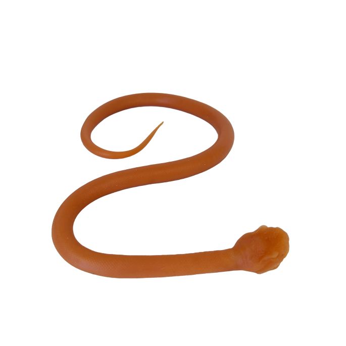 Endotracheale intubatie van de slang - afbeelding 2