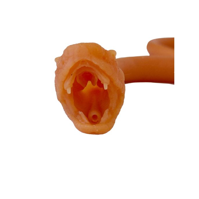 Endotracheale intubatie van de slang - afbeelding 3