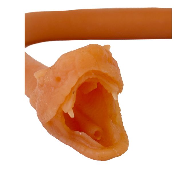 Endotracheale intubatie van de slang - afbeelding 5