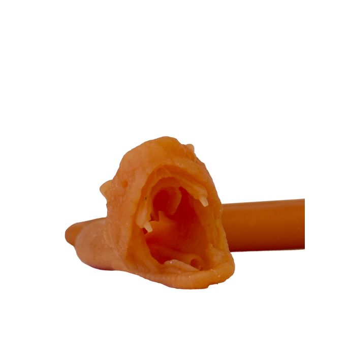 Endotracheale intubatie van de slang - afbeelding 6