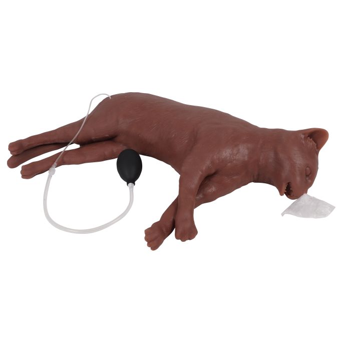 Reanimatiekat CaPpeR