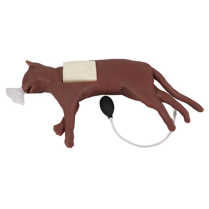 Reanimatiekat CaPpeR