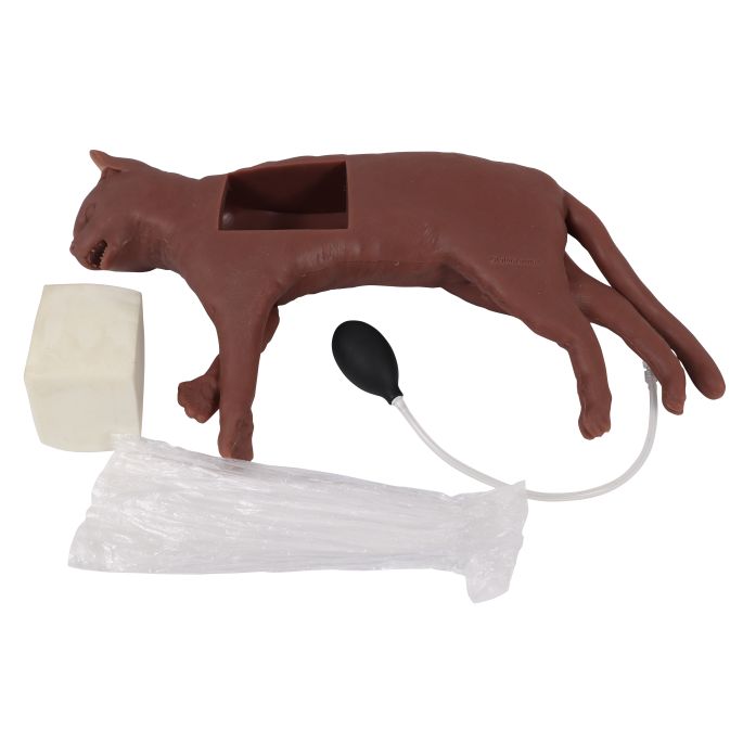 Reanimatiekat CaPpeR