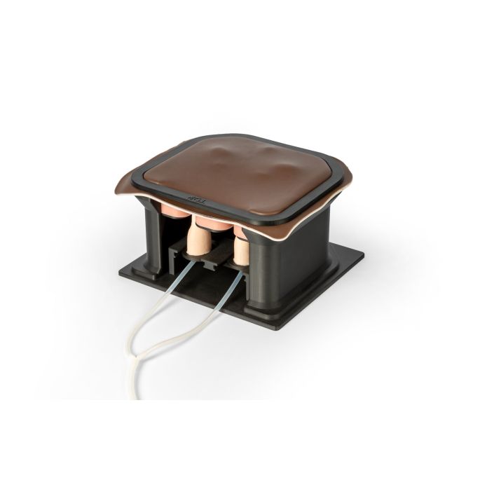 Castratie-oefensimulator voor het paard (hengst)