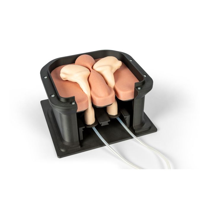 Castratie-oefensimulator voor het paard (hengst)