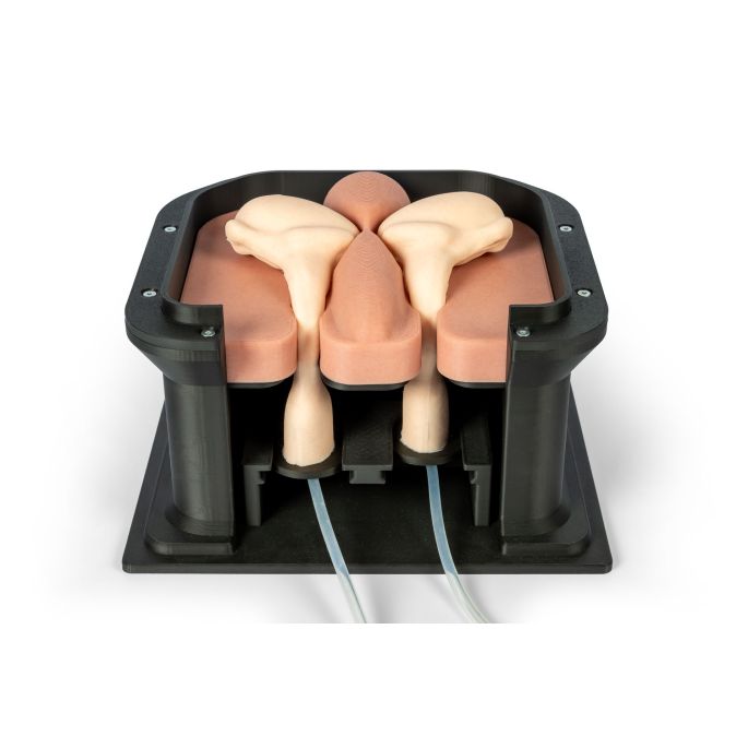 Castratie-oefensimulator voor het paard (hengst)