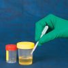 Plastic Pasteurpipetten