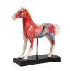 Acupunctuur paard