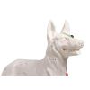 Acupunctuur hond
