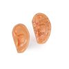 Acupunctuuroren, natuurlijke maat, set van 2 stuks