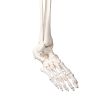 Didactisch skelet