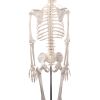Didactisch skelet