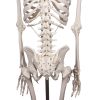  176 cm - afbeelding 4