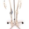  176 cm - afbeelding 3