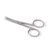 Nagelschaar 10 cm gebogen RVS