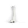 Femur (dijbeen)