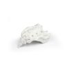 Sacrum met os coccygis