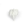 Sacrum met os coccygis