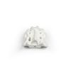 Sacrum met os coccygis