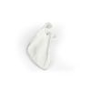 Scapula (schouderblad)