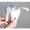 Schoudergewricht met ligamenten met standaard