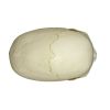 Scaphocephalische schedel