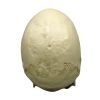 Scaphocefale schedel (craniosynostose) - afbeelding 4