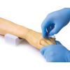 Trainingsarm voor intraveneuze injectie en infusie