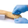 Trainingsarm voor intraveneuze injectie en infusie
