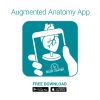 Anatomisch hersenmodel, levensgroot, 5 delen