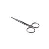 Irisschaar spits/spits 11 cm recht RVS