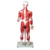 Gespierd figuur, 30 delen, 85 cm