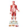 Gespierd figuur, 30 delen, 85 cm