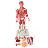 Gespierd figuur, 30 delen, 85 cm