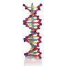 Dubbele DNA-helix
