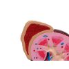 Niermodel, 2 keer levensgroot - EZ Augmented Anatomy