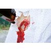 Wondmoulage gesneden gebroken fles
