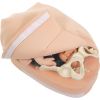 Abdominale Palpatie Modelset