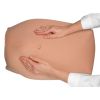 Abdominale Palpatie Modelset