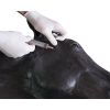 Paardensimulator 1.0
