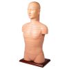 Schijftorso, natuurlijke maat