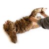 Rocky' positioneringspop voor honden