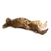 Rocky' positioneringspop voor honden
