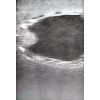 Echografie trainer hondenblaas