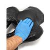 Echografie trainer hondenblaas