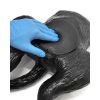 Echografie trainer hondenblaas